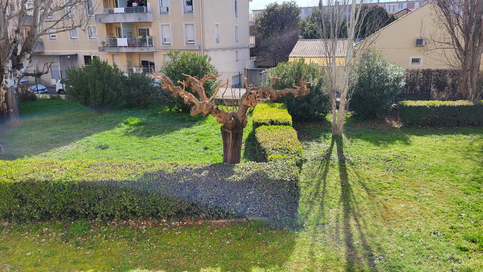 דירות Les Tourterelles D'Avignon 2 מראה חיצוני תמונה